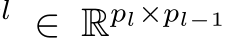 l ∈ Rpl×pl−1