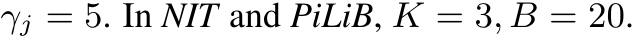  γj = 5. In NIT and PiLiB, K = 3, B = 20.