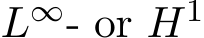  L∞- or H1