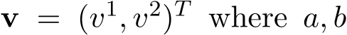  v = (v1, v2)T where a, b