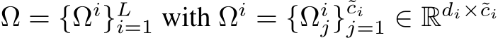  Ω = {Ωi}Li=1 with Ωi = {Ωij}˜cij=1 ∈ Rdi×˜ci