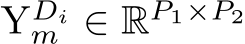  YDim ∈ RP1×P2
