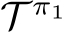  T π1