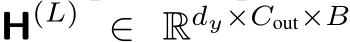  H(L) ∈ Rdy×Cout×B