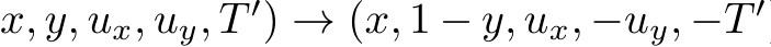 x, y, ux, uy, T ′) → (x, 1 − y, ux, −uy, −T ′