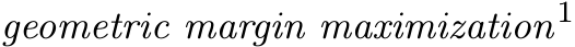  geometric margin maximization1 