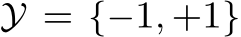  Y = {−1, +1}