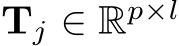  Tj ∈ Rp×l