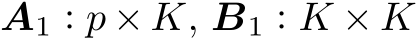  A1 : p × K, B1 : K × K
