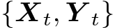  {Xt, Y t}