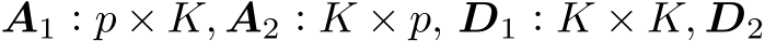  A1 : p × K, A2 : K × p, D1 : K × K, D2