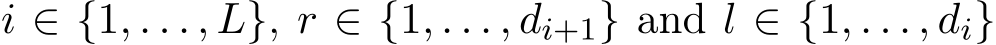  i ∈ {1, . . . , L}, r ∈ {1, . . . , di+1} and l ∈ {1, . . . , di}