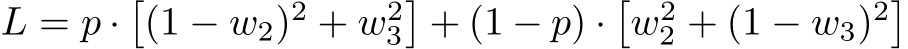  L = p ·�(1 − w2)2 + w23�+ (1 − p) ·�w22 + (1 − w3)2�