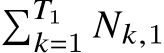 �𝑇1𝑘=1 𝑁𝑘,1