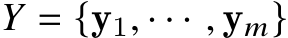  𝑌 = {y1, · · · , y𝑚}