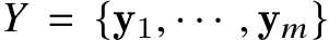  𝑌 = {y1, · · · , y𝑚}