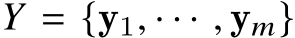  𝑌 = {y1, · · · , y𝑚}