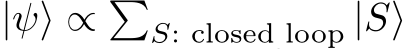 |ψ⟩ ∝ �S: closed loop |S⟩