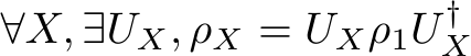 ∀X, ∃UX, ρX = UXρ1U †X