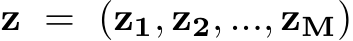  z = (z1, z2, ..., zM)