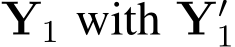  Y1 with Y′1