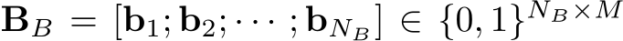 BB = [b1; b2; · · · ; bNB] ∈ {0, 1}NB×M
