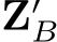  Z′B