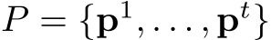  P = {p1, . . . , pt}