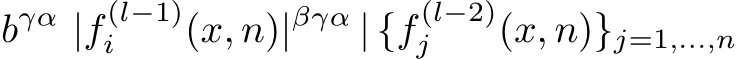  bγα |f (l−1)i (x, n)|βγα | {f (l−2)j (x, n)}j=1,...,n