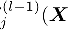 (l−1)j (X