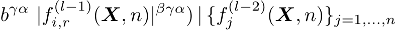  bγα |f (l−1)i,r (X, n)|βγα) | {f (l−2)j (X, n)}j=1,...,n