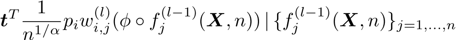 tT 1n1/α piw(l)i,j(φ ◦ f (l−1)j (X, n)) | {f (l−1)j (X, n)}j=1,...,n