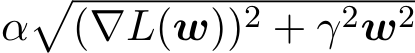  α�(∇L(w))2 + γ2w2