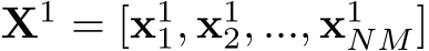  X1 = [x11, x12, ..., x1NM]
