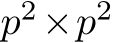  p2×p2 