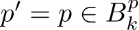  p′ = p ∈ Bpk