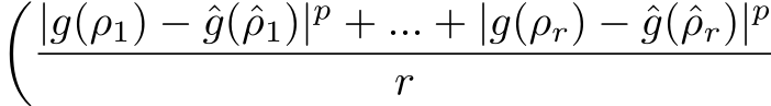 �|g(ρ1) − ˆg(ˆρ1)|p + ... + |g(ρr) − ˆg(ˆρr)|p