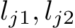  lj1, lj2