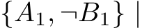  {A1, ¬B1} |