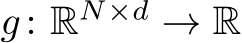  g: RN×d → R