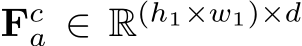  Fca ∈ R(h1×w1)×d