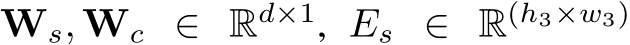  Ws, Wc ∈ Rd×1, Es ∈ R(h3×w3)