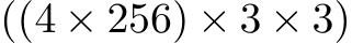 ((4 × 256) × 3 × 3)