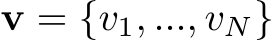  v = {v1, ..., vN}