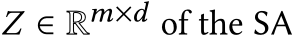  𝑍 ∈ R𝑚×𝑑 of the SA