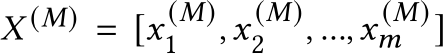  𝑋 (𝑀) = [𝑥 (𝑀)1 ,𝑥 (𝑀)2 , ...,𝑥 (𝑀)𝑚 ]