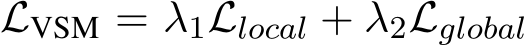  LVSM = λ1Llocal + λ2Lglobal