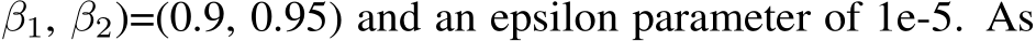 β1, β2)=(0.9, 0.95) and an epsilon parameter of 1e-5. As