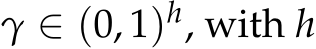  γ ∈ (0, 1)h, with h