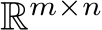  Rm×n
